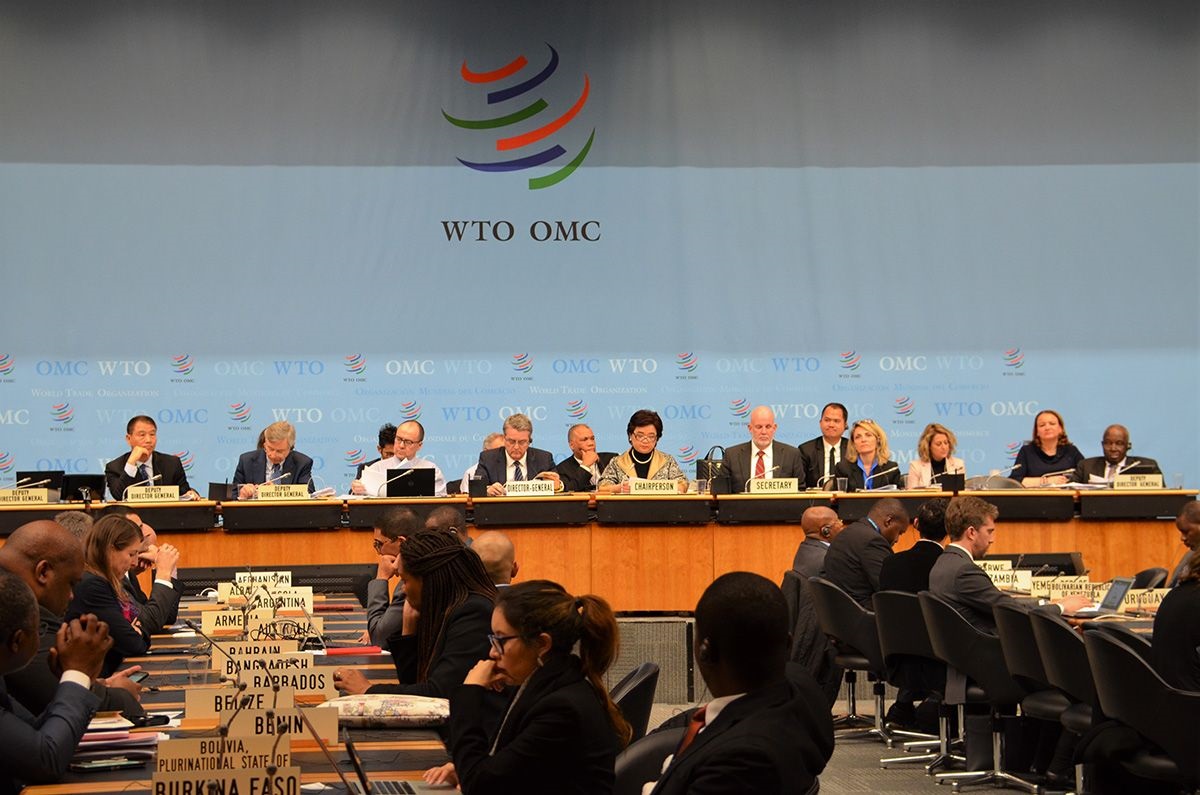 Việt Nam là thành viên thứ bao nhiêu của WTO