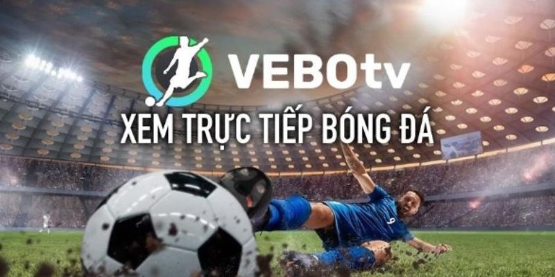 Vebo Link – Địa chỉ vàng dành cho anh em mê Champions League và dân soi kèo muốn chốt đơn chuẩn từng nhịp
